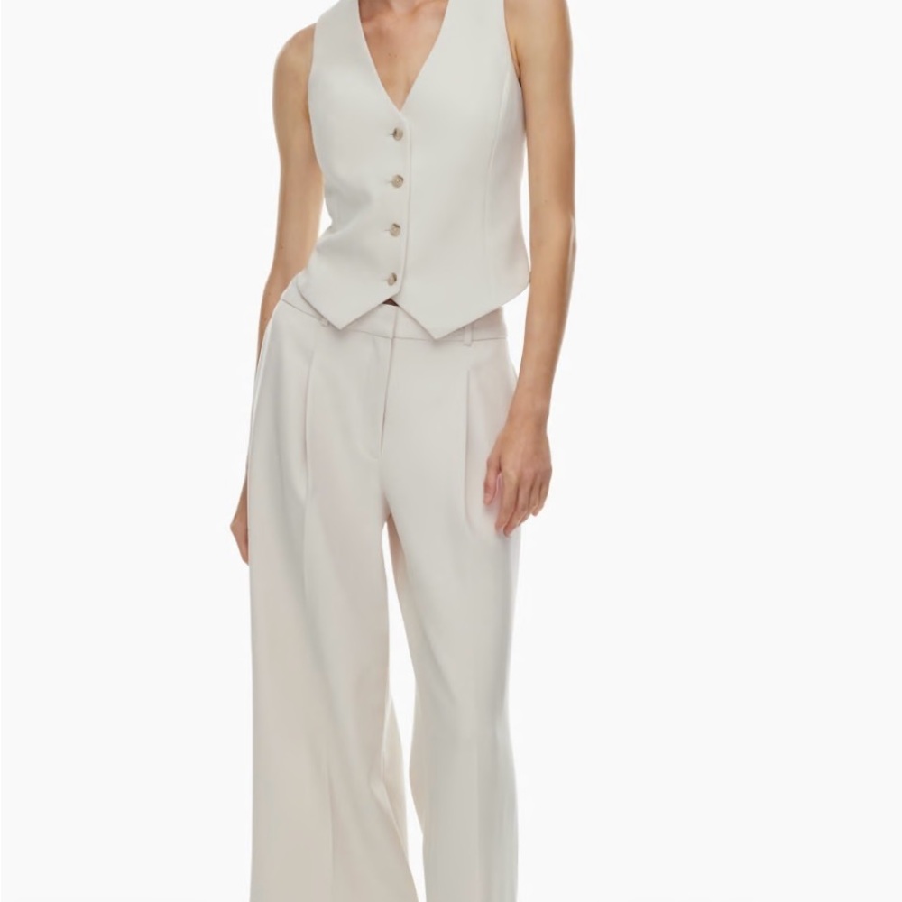 ARITZIA Babaton Deniro Vest